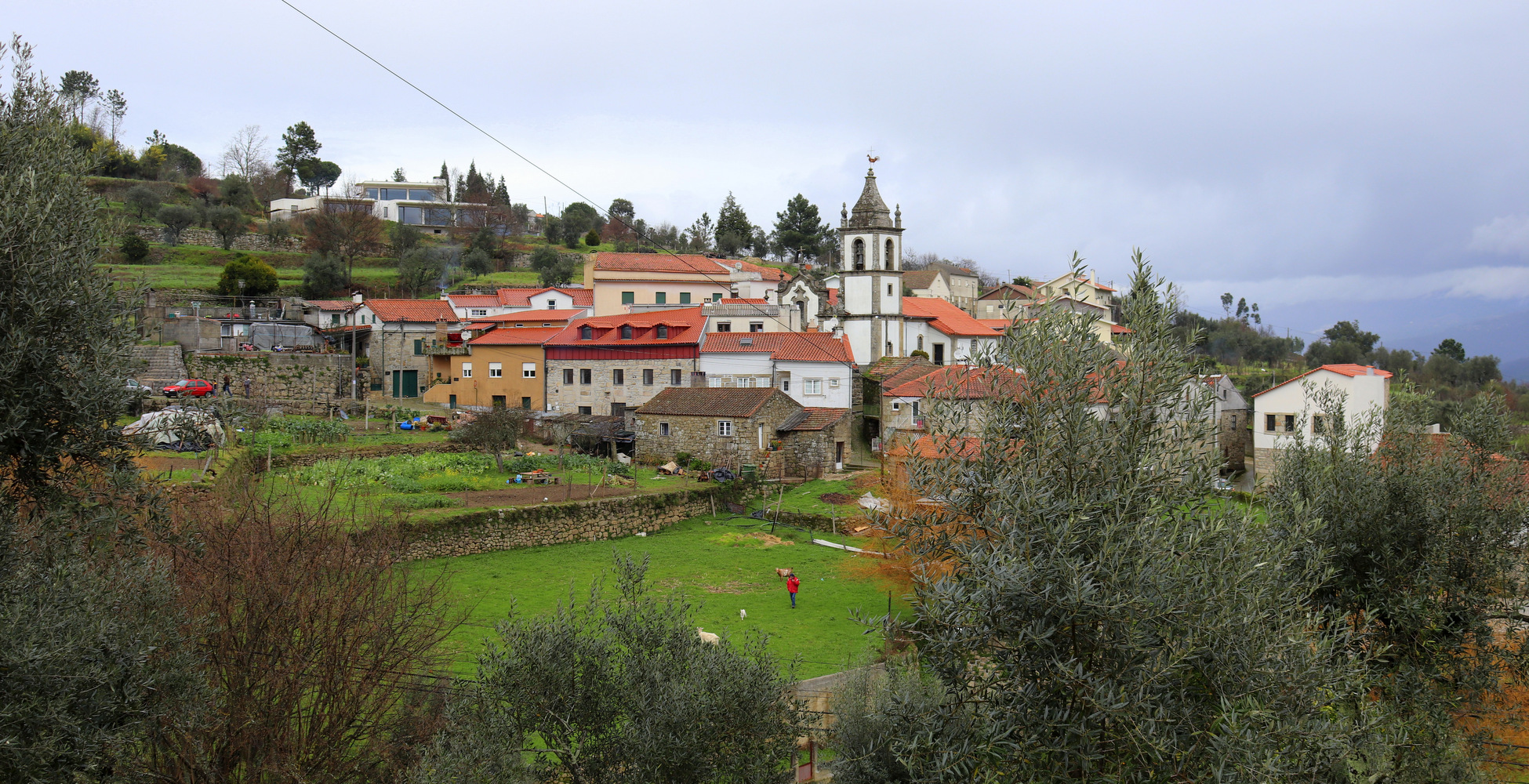 Passeios Turísticos