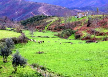 Paisagem de Santa Ovaia